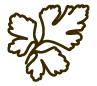 Symbol Kräuter Bepflanzung im Hochbeet
