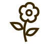 Symbol Blume Bepflanzung im Hochbeet
